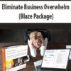 Eliminate Business Overwhelm (Blaze Package)