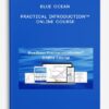 Blue Ocean Practical Introduction™ Online Course