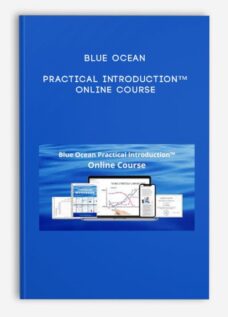 Blue Ocean Practical Introduction™ Online Course