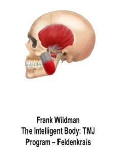 Frank Wildman – The Intelligent Body: TMJ Program – Feldenkrais