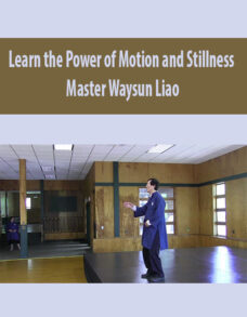 Learn the Power of Motion and Stillness with Master Waysun Liao