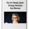 The A14 Weekly Option Strategy Workshop Amy Meissner
