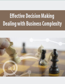 Effective Decision Making – Dealing with Business Complexity By Alexander de Haan & Hans de Bruijn & Els van Daalen