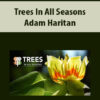 Trees In All Seasons By Adam Haritan