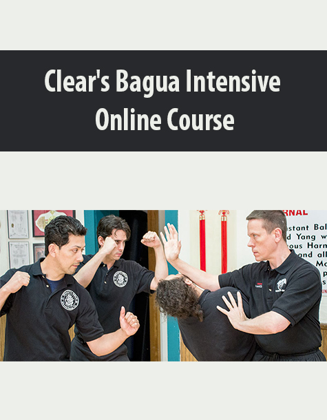 Clear’s Bagua Intensive Online Course