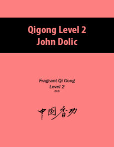 Qigong Level 2 By John Dolic