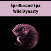 Spellbound Spa By Wild Dynasty
