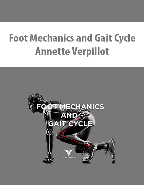 Foot Mechanics and Gait Cycle By Annette Verpillot