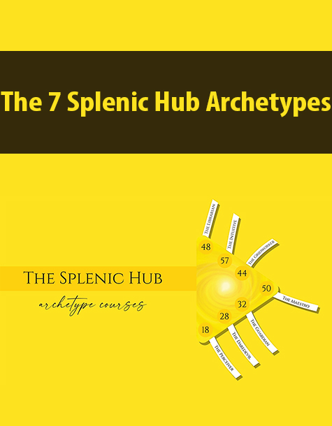 The 7 Splenic Hub Archetypes