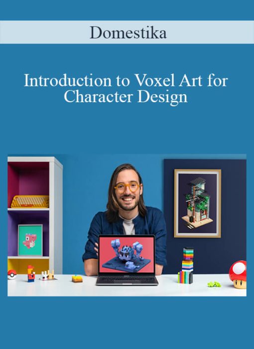 Domestika – Introduction to Voxel Art for Character Design
