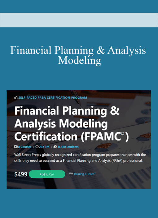Financial Planning & Analysis Modeling
