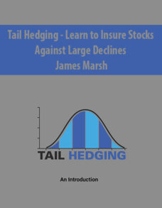 Tail Hedging – Learn to Insure Stocks Against Large Declines By James Marsh