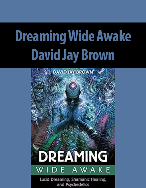 Dreaming Wide Awake By David Jay Brown