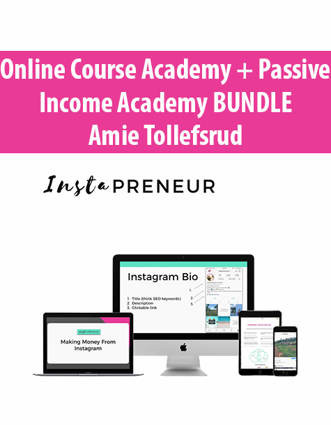 Online Course Academy + Passive Income Academy BUNDLE By Amie Tollefsrud