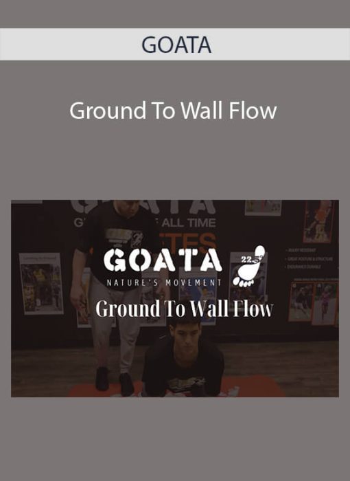 GOATA – Ground To Wall Flow