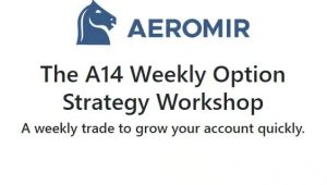 2023 A14 WEEKLY OPTION STRATEGY