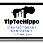 TipToeHippo – StrategyQuant Mentorship