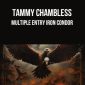 Tammy Chambless – Multiple Entry Iron Condor