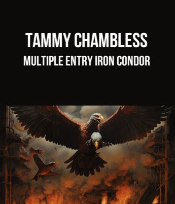 Tammy Chambless – Multiple Entry Iron Condor